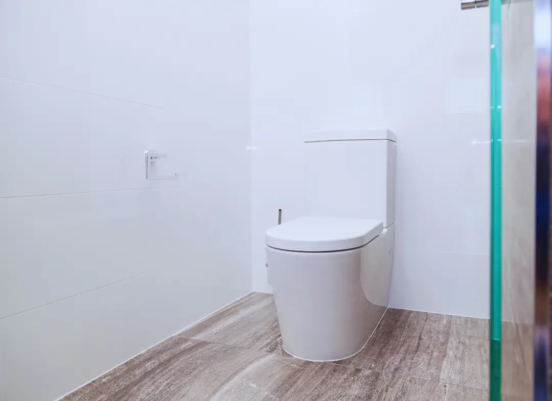 Remplacement de wc Eschau
